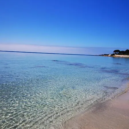 아파트 Superbe 3 Pieces Vue Mer Sur Les Sanguinaires *